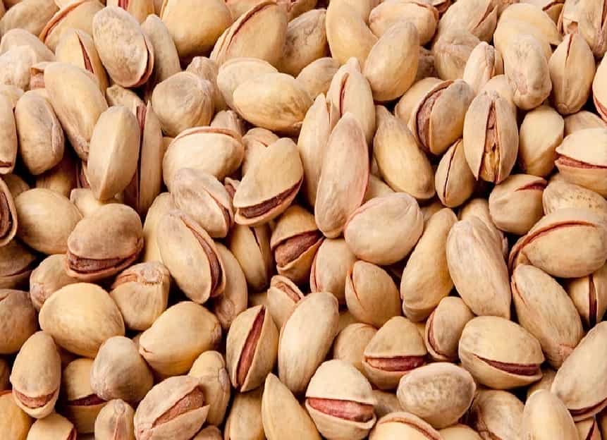 فروش پسته اکبری