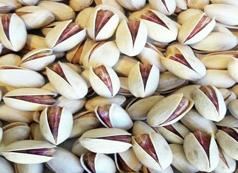 تصویر 1 از پسته اکبری درشت از بهترین باغات ایران