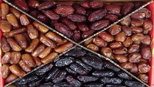 تصویر 5 از خرید خرمای کبکاب بوشهر + ارگانیک