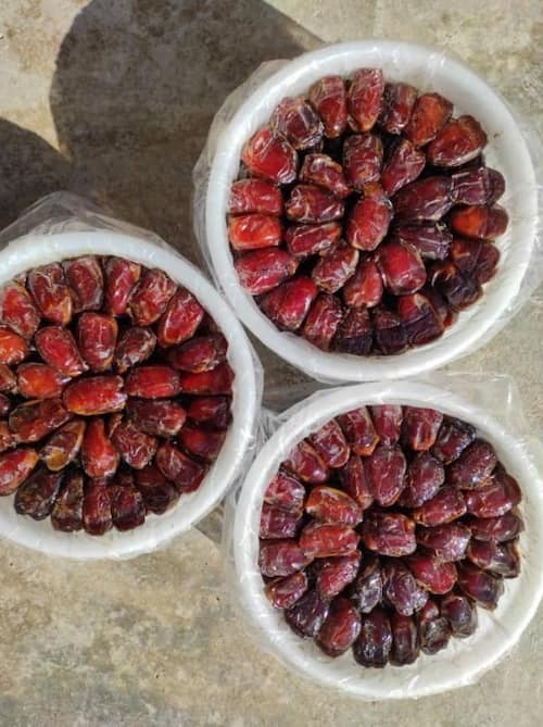 تصویر 1 از خرید خرمای کبکاب بوشهر + ارگانیک