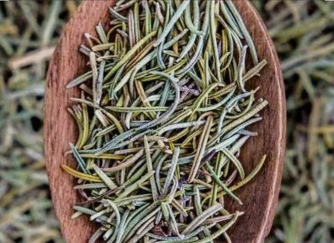 تصویر 3 از گیاه رزماری خشک فله قیمت عمده + فروش صادراتی