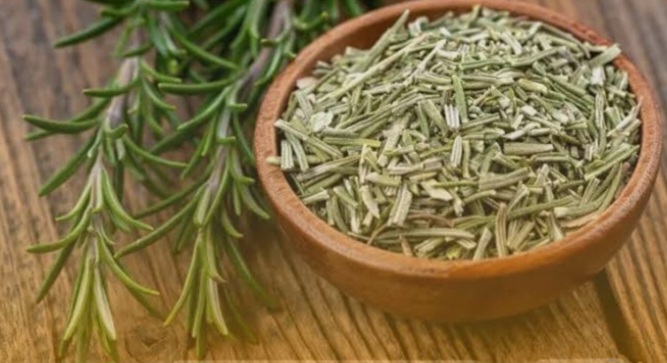 تصویر 1 از گیاه رزماری خشک فله قیمت عمده + فروش صادراتی