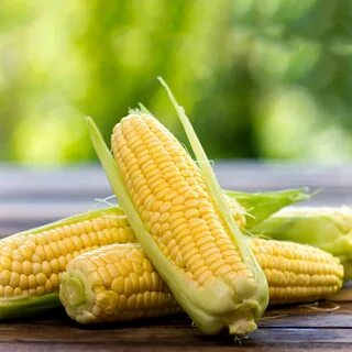 کنسرو ذرت غیر شیرین مناسب استفاده تزئینی در غذاهای مختلف