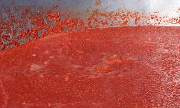 تصویر 2 از خرید و قیمت رب گوجه فرنگی صنعتی و فروش عمده