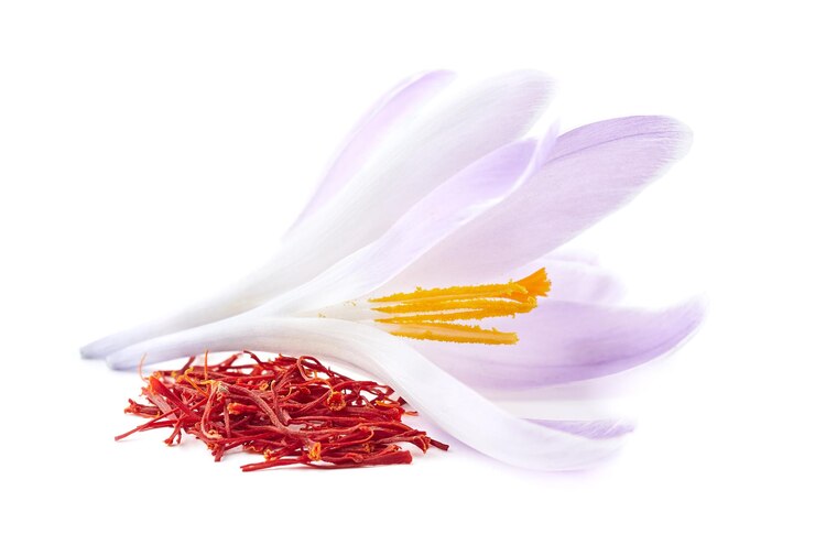 تصویر 4 از خرید و قیمت زعفران نگین سوپر اتویی + فروش عمده