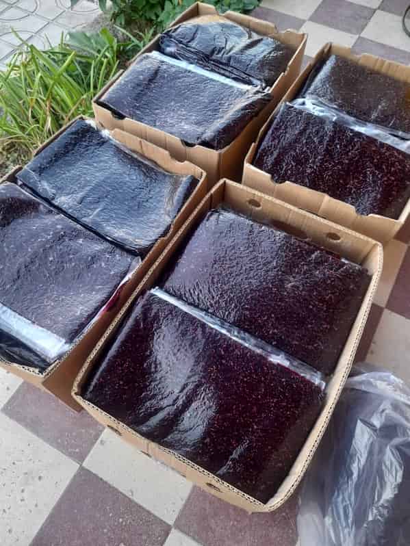 تصویر 2 از خرید و قیمت لواشک درجه یک تازه + فروش عمده