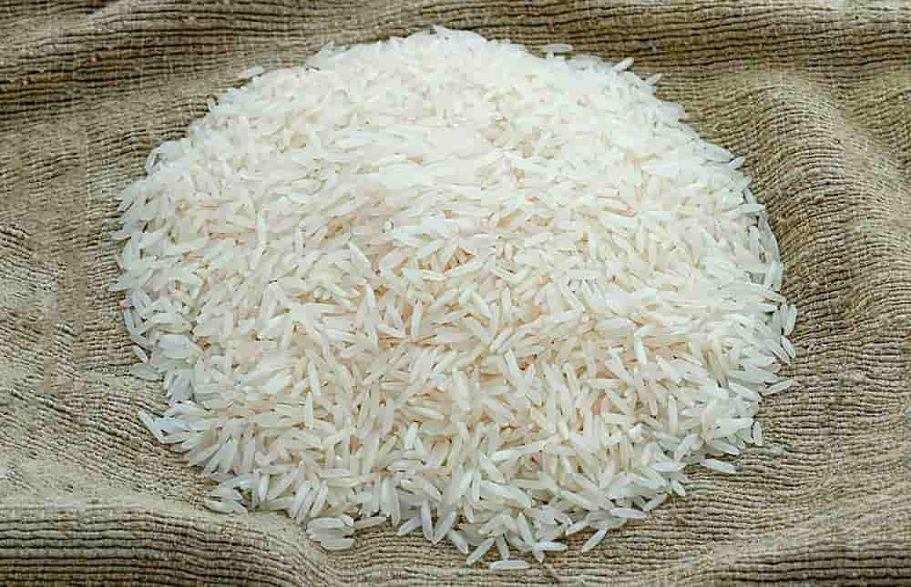 تصویر 4 از فروش برنج هاشمی + قیمت خرید به صرفه