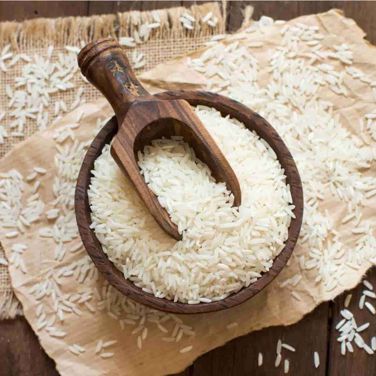 فروش برنج هاشمی + قیمت خرید به صرفه