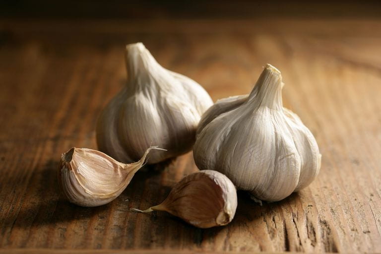 تصویر 3 از خرید و قیمت سیر شمال + فروش عمده
