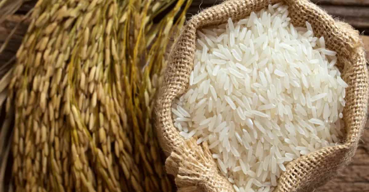 تصویر 3 از فروش برنج طارم + قیمت خرید به صرفه
