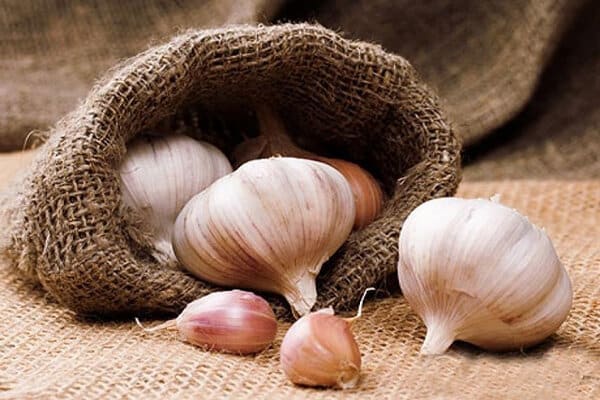 تصویر 1 از قیمت سیر گیلان + خرید باور نکردنی