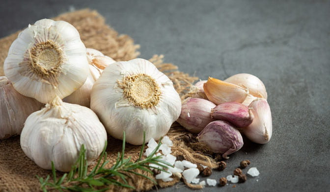 تصویر 4 از قیمت سیر گیلان + خرید باور نکردنی
