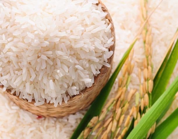 قیمت خرید برنج طارم هاشمی عمده به صرفه و ارزان