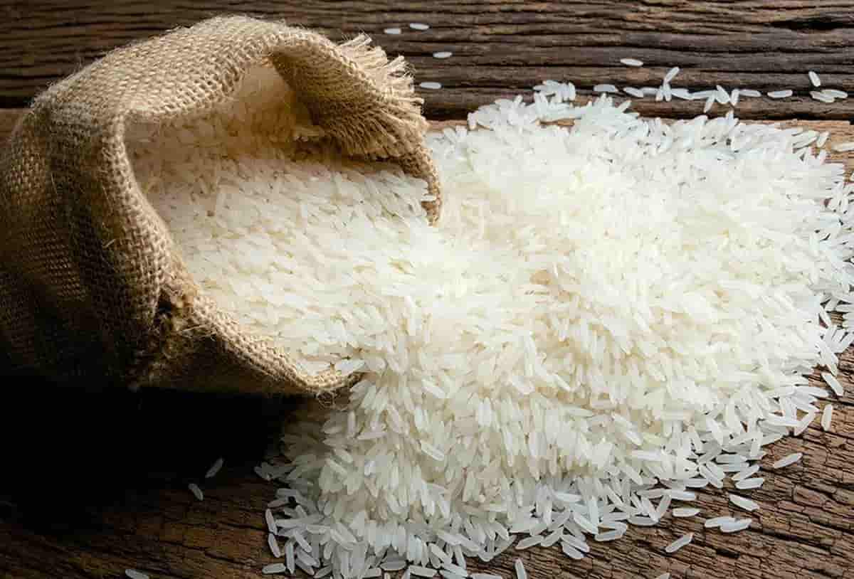 تصویر 1 از قیمت خرید برنج طارم هاشمی عمده به صرفه و ارزان