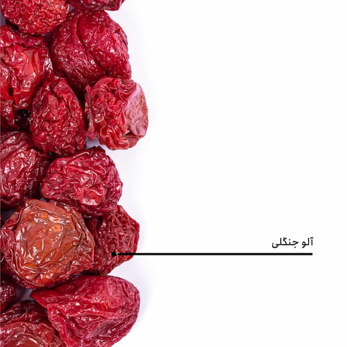 فروش فوق العاده آلو بخارا جنگلی