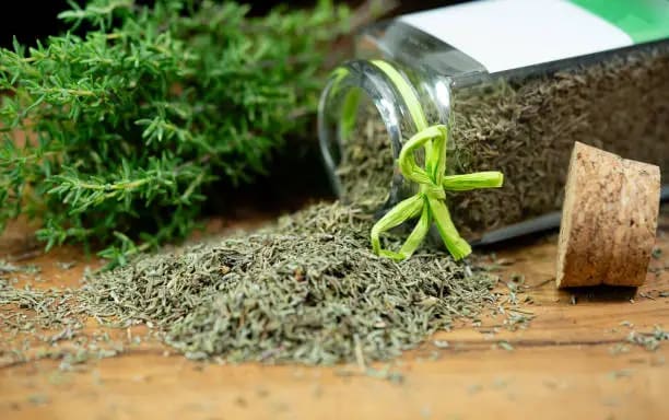 تصویر 1 از قیمت آویشن محلی با کیفیت ارزان + خرید عمده