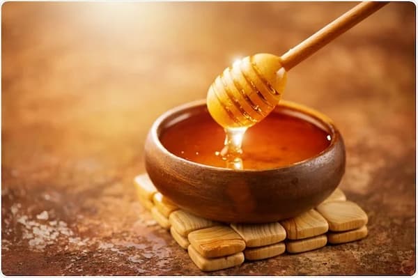 تصویر 2 از قیمت عسل گون انگبین باکیفیت ارزان + خرید عمده