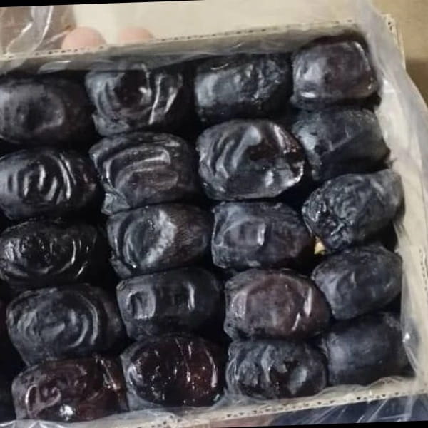 تصویر 3 از خرید خرما مضافتی جهرم + قیمت فروش استثنایی