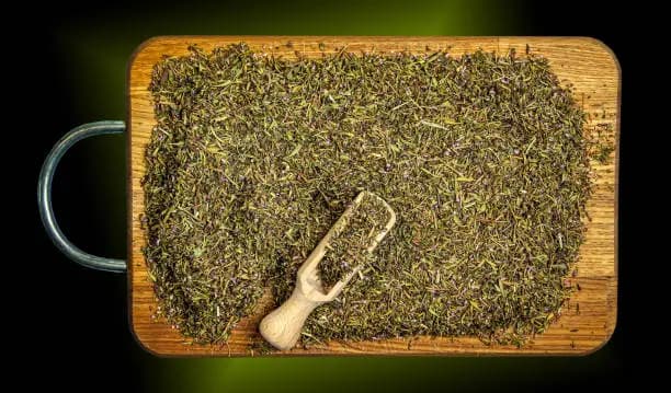 تصویر 2 از قیمت خرید آویشن شیرازی عمده به صرفه و ارزان