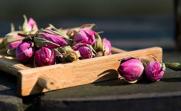 تصویر 1 از قیمت خرید غنچه گل محمدی کاشان  + فروش ویژه