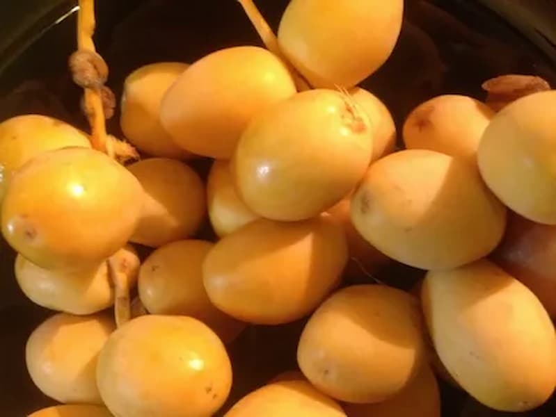 تصویر 3 از قیمت خرید خرما برحی تازه  با فروش عمده