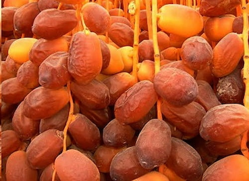 تصویر 1 از خرما زاهدی بدون هسته لطیف و سالم