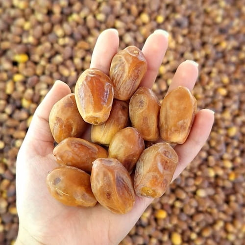 تصویر 3 از خرید و فروش خرما زاهدی بهبهان با کیفیت درجه یک