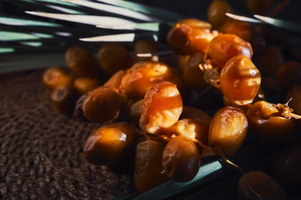 تصویر 5 از قیمت خرید خرما زاهدی اصل + فروش ویژه