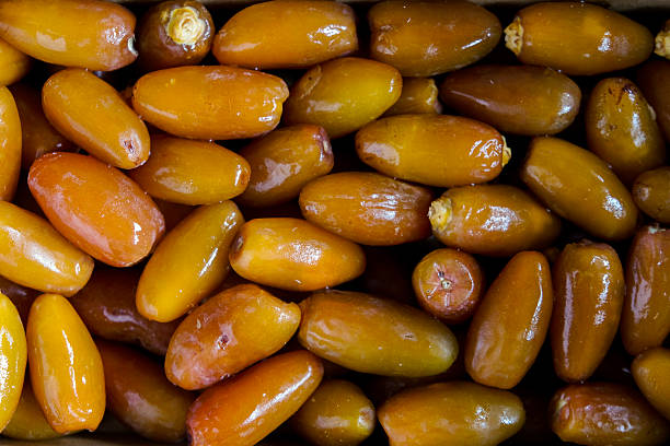 تصویر 2 از قیمت خرما زاهدی بسته بندی با کیفیت ارزان + خرید عمده