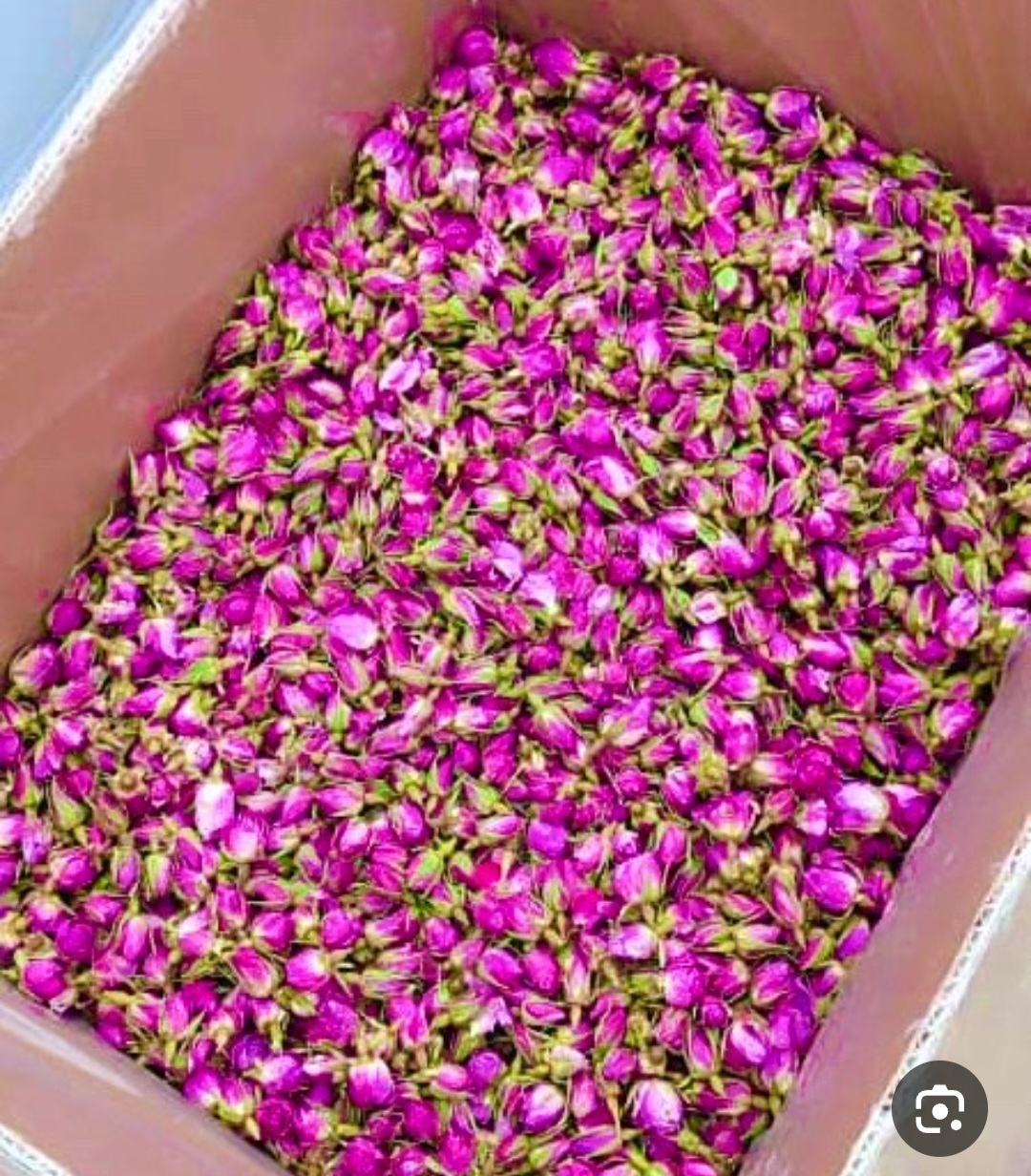 مزایای خرید عمده غنچه گل محمدی از تولید کننده اصلی