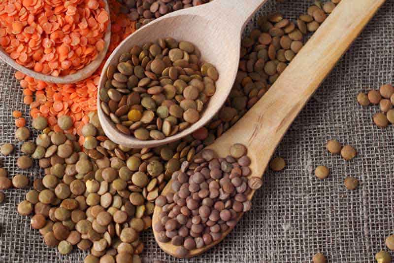 تصویر 2 از خرید و قیمت عدس ایرانی + فروش عمده