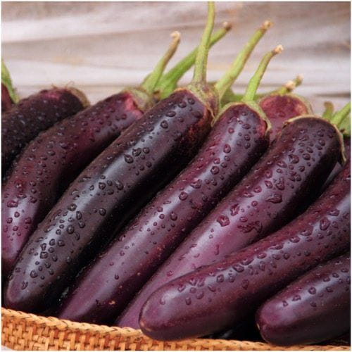 تصویر 1 از قیمت خرید بادمجان قلمی بلند با فروش عمده