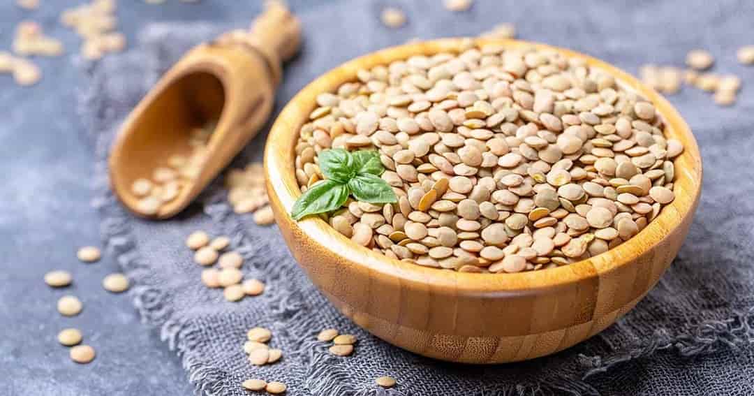 تصویر 1 از خرید عدس اوشان + قیمت فروش استثنایی