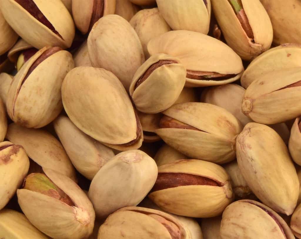 تصویر 3 از قیمت پسته اکبری فله اعلا با کیفیت ارزان + خرید عمده