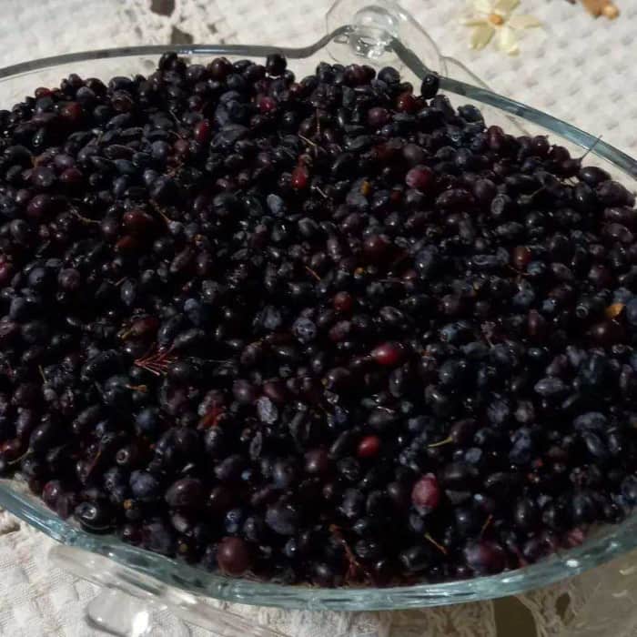 تصویر 1 از قیمت خرید زرشک سیاه خورشتی + فروش ویژه