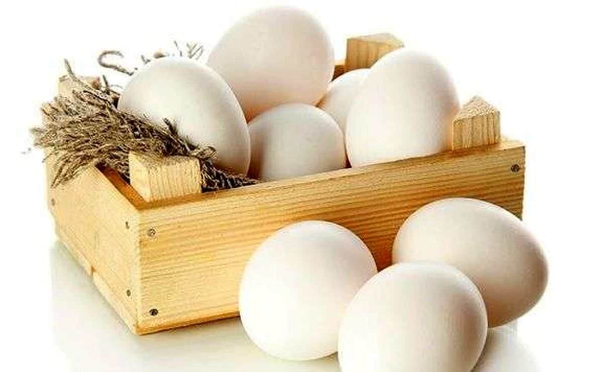 تصویر 1 از قیمت تخم مرغ صادراتی با کیفیت ارزان + خرید عمده