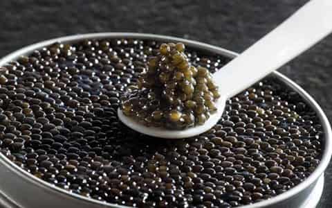 تصویر 1 از قیمت خاویار سیاه ارگانیک + خرید باور نکردنی