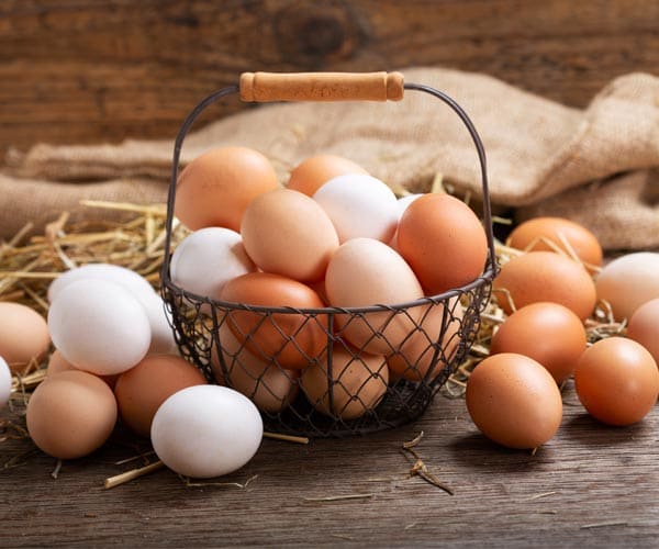 قیمت خرید تخم مرغ گیلان با فروش عمده