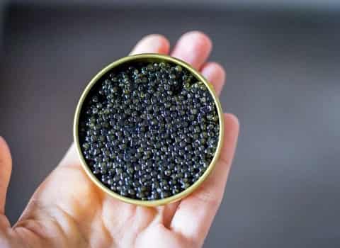 تصویر 1 از خرید خاویار بلوگا امپریال  + قیمت فروش استثنایی