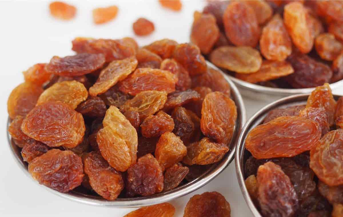 تصویر 1 از خرید قیسی خانگی + بهترین قیمت
