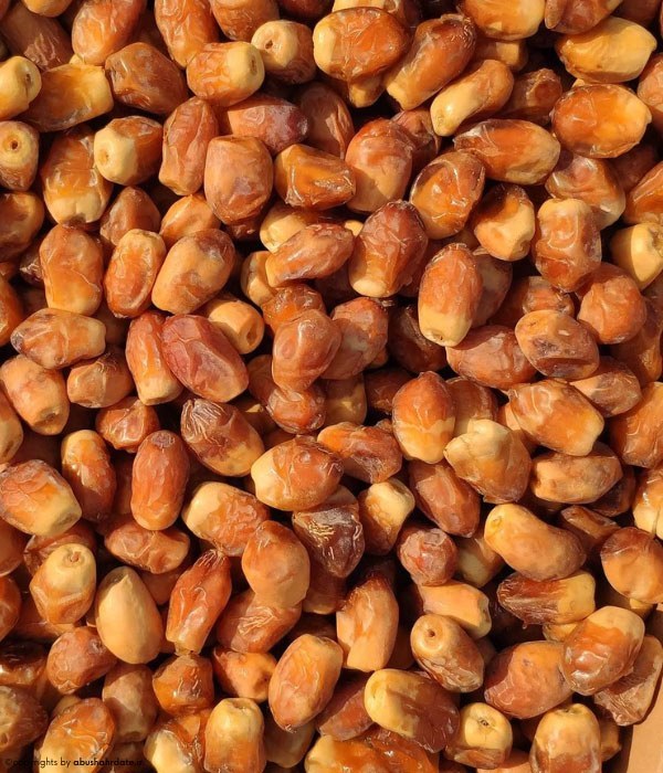 تصویر 1 از خرما زاهدی یاس نور با کیفیت بالا و طعم فوق العاده