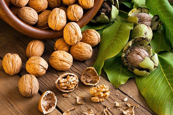 خرید و فروش عمده گردو با پوست کاغذی اعلا آذرشهر