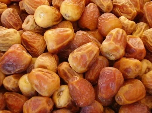 تصویر 3 از قیمت خرید خرما زاهدی جهرم با فروش عمده