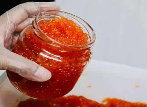 تصویر 1 از قیمت و خرید شاه خاویار + فروش ویژه