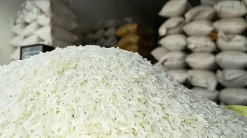 تصویر 2 از قیمت خرید برنج پاکستانی اعلا با فروش عمده