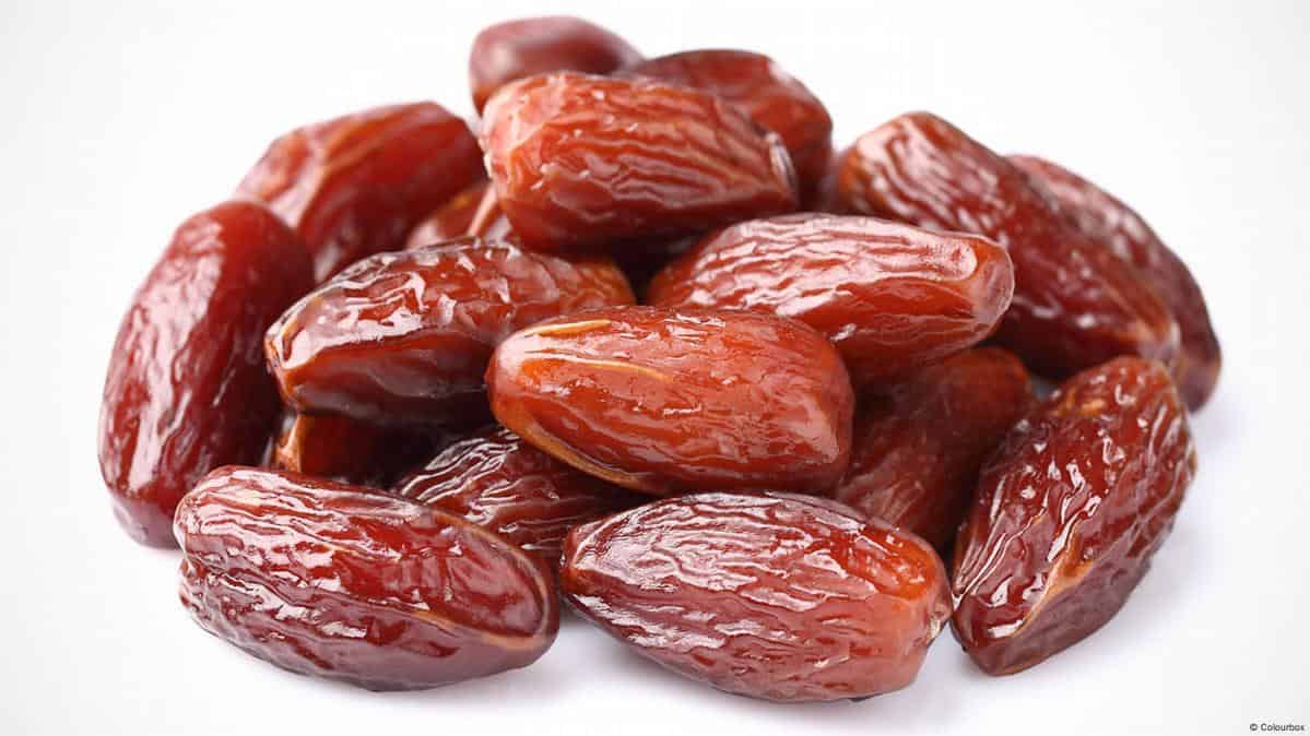 قیمت خرید خرما رطب عسلی با فروش عمده