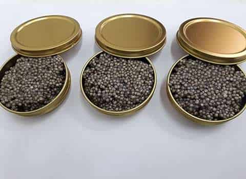 تصویر 1 از خرید خاویار بلوگا صادراتی + قیمت فروش استثنایی