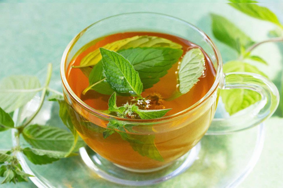 تصویر 1 از خرید دمنوش نعناع خالص با کیفیت ممتاز