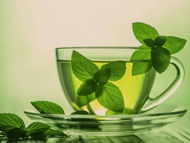 تصویر 4 از خرید دمنوش نعناع خالص با کیفیت ممتاز