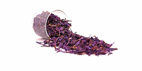 قیمت خرید گیاه گل گاو زبان وحشی با فروش عمده